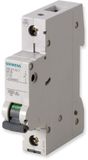Siemens 5SL61027 5SL6102-7 Zekeringautomaat 2 A 400 V