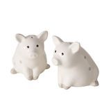 BOLTZE 2061040 Lucky zout- en peperstrooier, porselein, 50 ml, vaatwasmachinebestendig, 6 x 7 x 7 cm, wit