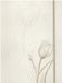 Clairefontaine 813073C - Papieren map met elastische sluiting, A4, Tulip Paper Collectie