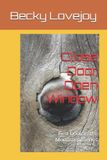 Close Libri GmbH Close Door, Open Window Paperback