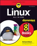 Linux For Dummies Linux All-In-One For Dummies