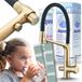 ARI Keukenmengkraan Ari Flexible met uittrekbare en 360° draaibare uitloop, geschikt voor waterfilters, geborsteld goud