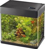 SuperFish Panorama 35 Zwart Aquarium