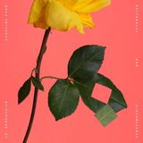 Warner Music Caroline Shaw: Rectangles and Circumstance