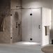 Brauer Void - Nisdeur - 2-Delig - Helder Glas - 200 x 200 cm - Omkeerbaar - met Draaideur 70 cm - Aan Glas - incl. Glascoating - Mat Zwart