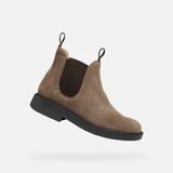 GEOX Enkellaarsjes taupe