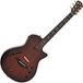 Taylor Guitars Taylor T5z Custom Koa