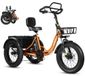 Vélo cargo électrique - Tricycle électrique pliable pour adultes - Moteur 250W 48V dans la roue - Batterie amovible 48V 20,8Ah - Autonomie 50-80 km - Deux places - Pneus de 50x10 cm de large - Orange