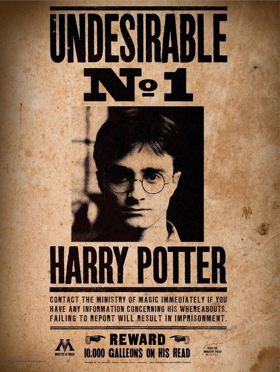 SD Harry Potter: Undesirable No. 1 30 x 40 cm Glass Poster
