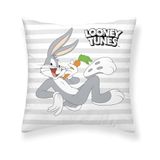 BELUM | Kussensloop 100% katoen 45 x 45 cm Model Looney Characters A