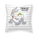 BELUM | Kussensloop 100% katoen 45 x 45 cm Model Looney Characters A