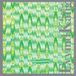 Eyvind Kang - Grass