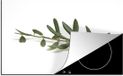 Merkloos KitchenYeah® Inductie beschermer 77x51 cm - Olijftak - Inductiebeschermer