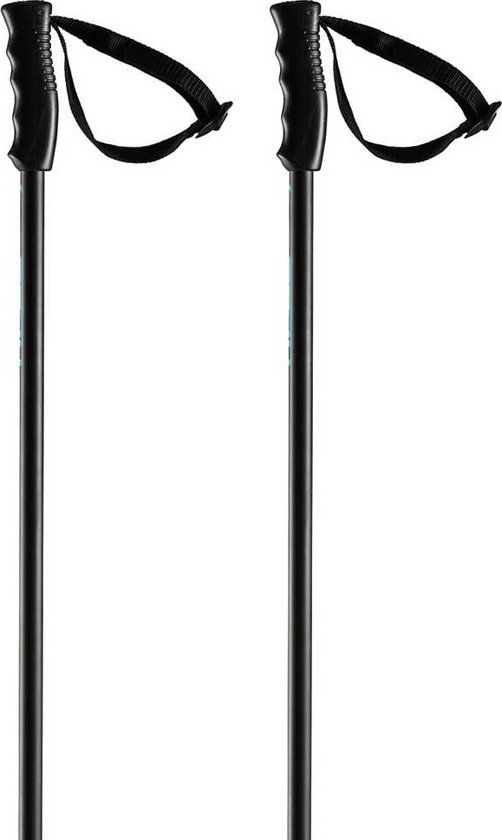 Head Multi Stokken Zilver 130 cm