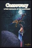 Cassowary The Living Dinosaur: A Deep Dive into the World’s Most Dangerous Bird