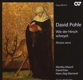 Outhere Carus Pohle: Wie Der Hirsch Schreyet - Musica Sacra (CD)