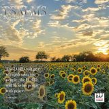 Dayplanner Psalms Kalender 2027 Wandkalender nl