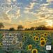 Dayplanner Psalms Kalender 2027 Wandkalender nl