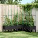 Maison Exclusive Jardinière avec treillis, noir, 160x120x142,5 cm, PP