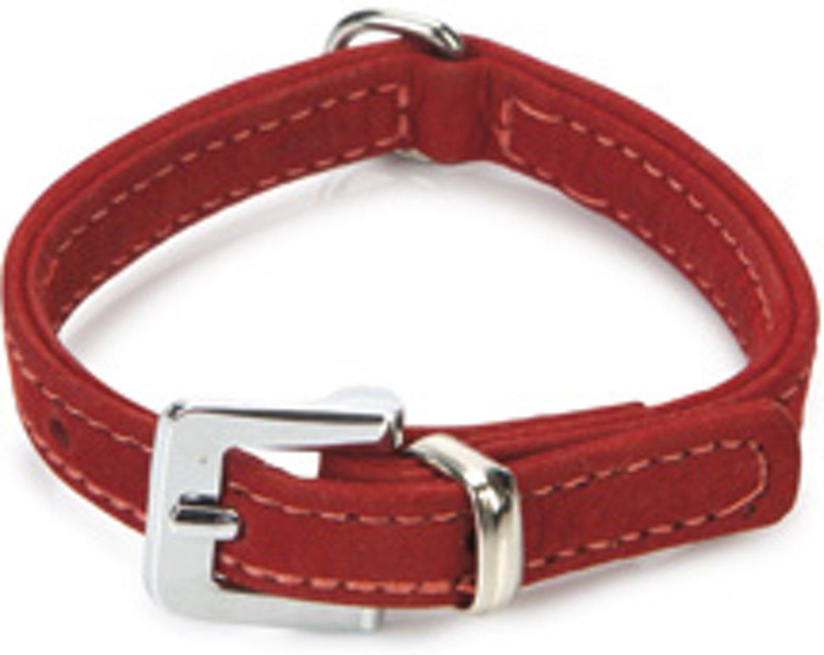 Beeztees Buffalo - Hondenhalsband - Leer - Rood - 24cm x 10mm
