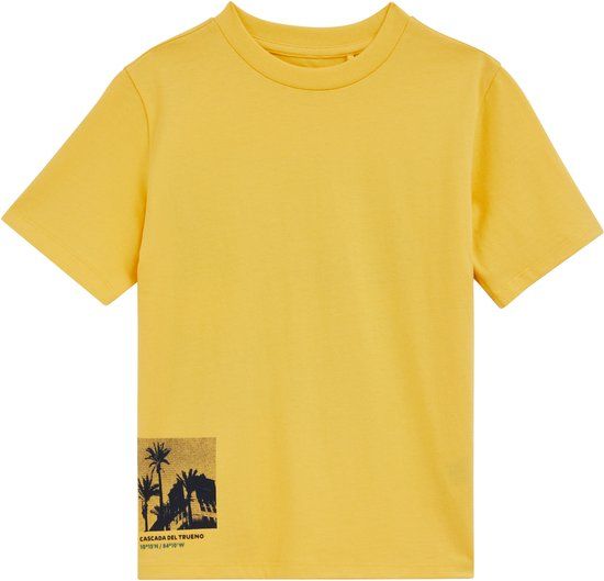 WE Fashion Jongens T-shirt met print