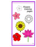 Flower Magic: A Beautiful Floral Coloring Book for Relaxation