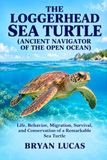 THE LOGGERHEAD SEA TURTLE
