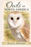 Owls