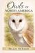 Owls