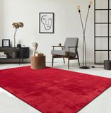 the carpet RELAX – Extra Zacht & Wasbaar Vloerkleed tot 30°C met Antislip Onderzijde – Fluweelachtige Structuur – Voor Slaapkamer of Woonkamer – Rood, 80 x 150 cm