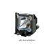 Optoma SP.7D1R1GR01 Originele beamerlamp voor H185X, DW322, W381, W309ST, X309ST, H190X, H117ST