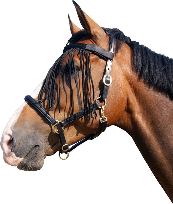 QHP Vliegenfrontriem - zebra - Pony