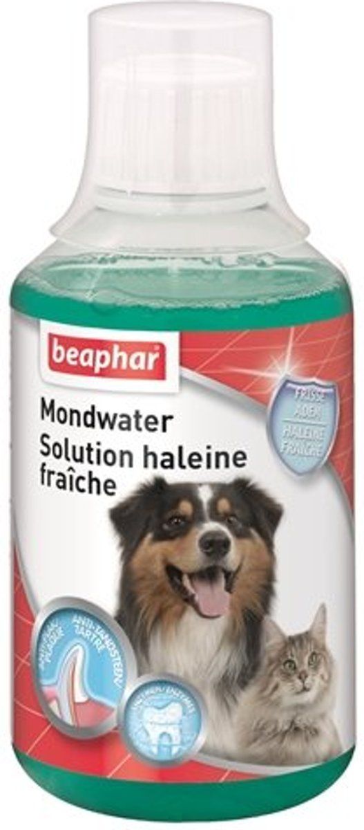BEAPHAR Mondwater 250 ml - Voor Honden en Katten - 8711231160082