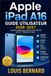 Apple iPad / WiFi / 256GB / Silver