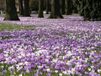 Warentuin mix - Turfstrooisel aarde 40 liter