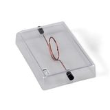 3B Scientific U8491792 Geleiderstrik op acrylvoet