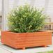 Maison Exclusive Jardinière brun chaud 70x70x26,5 cm bois massif pin