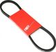 P2R Aandrijfriem voor bromfiets MBK 50 41 806x14x8mm / equivalent d24 nieuw
