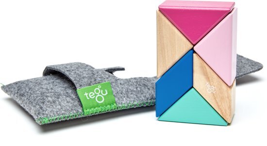 Tegu 6 Piece Pocket Pouch Prism Magnetic Wooden Block Set Blossom