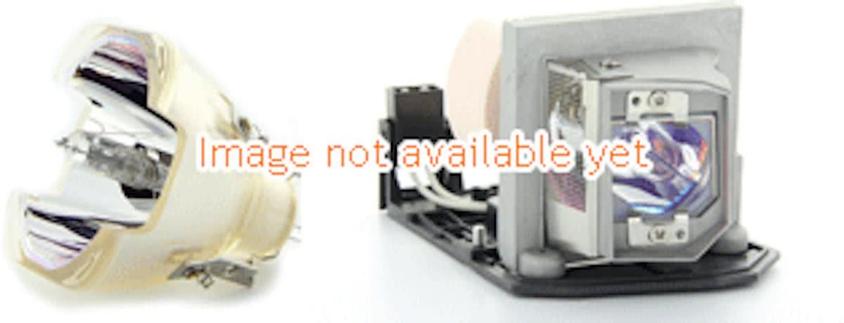 BenQ 5J.00S01.001 Beamerlamp (bevat originele UHP lamp)
