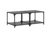 Maison Exclusive - Tables basses avec plateau en verre, 2 pièces, noir, 50x50x40 cm, acier