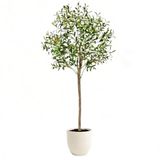 Clove Olijfboom, 150 cm, Kunstplant