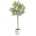 Clove Olijfboom, 150 cm, Kunstplant