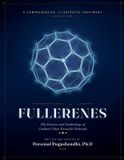 FULLERENES The Science and Technology of Carbon's Most Versatile Molecule Paperback