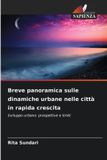 Breve OmniScriptum SRL Breve panoramica sulle dinamiche urbane nelle città in rapida crescita