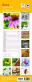 Tallon Bees & Butterflies Kalender 2027 Slimline
