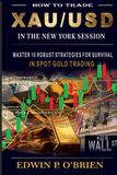 How to Trade XAU/USD in the New York session: Master 10 Robust Strategies for Survival