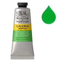 Winsor & Newton Galeria Acrylic Paint - 483 Permanent Green Light (60 ml)