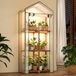Serre Plante rek Mini serre - 3 lagen - 55,88 x 40,64 cm - Met groeiverlichting - Voor buiten