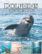 Dolphins: Bol Dolphins Paperback